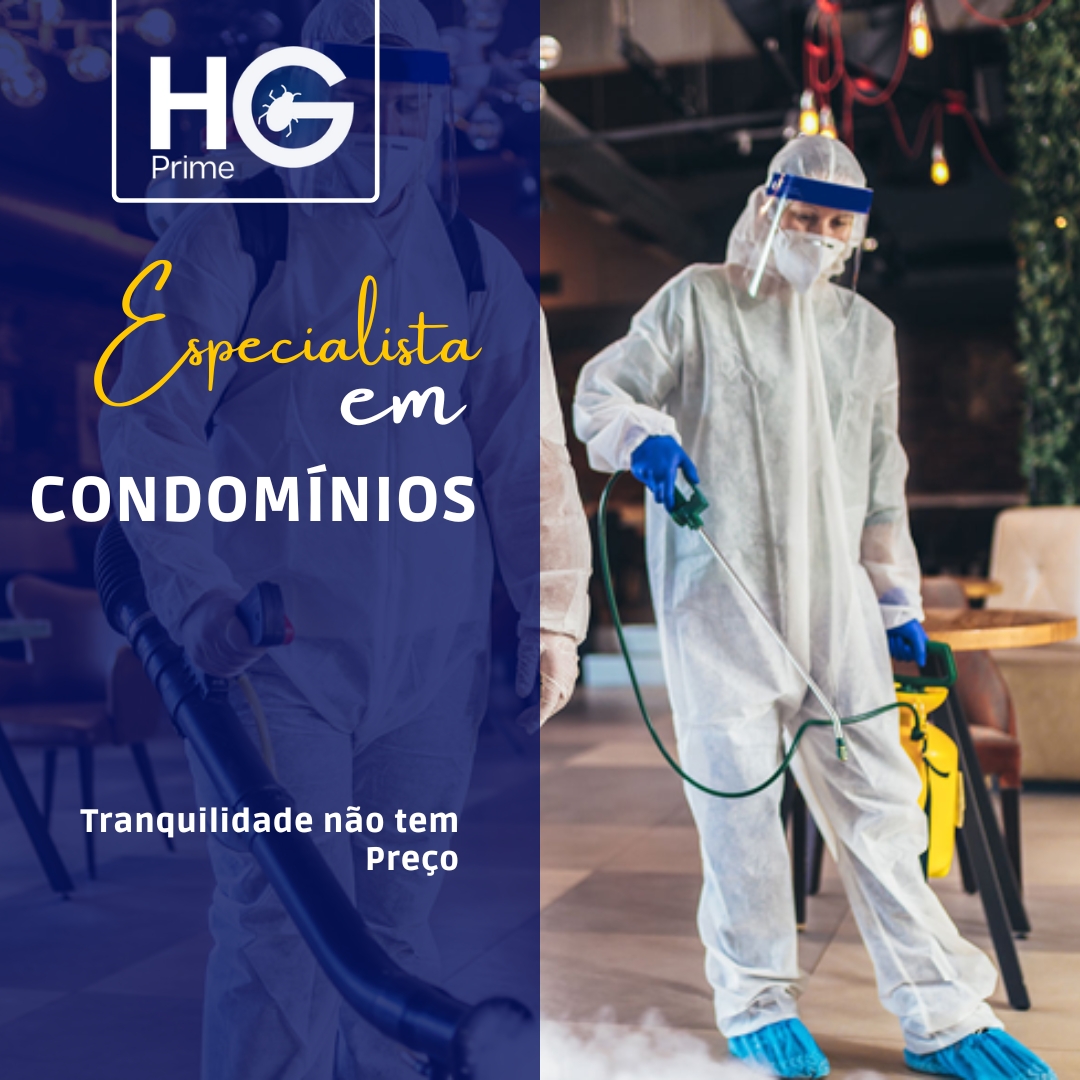 WhatsApp Image 2023-10-17 at 19.53.22.jpeg